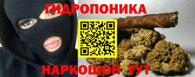 мдпв Партизанск