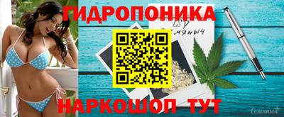 мдпв Партизанск