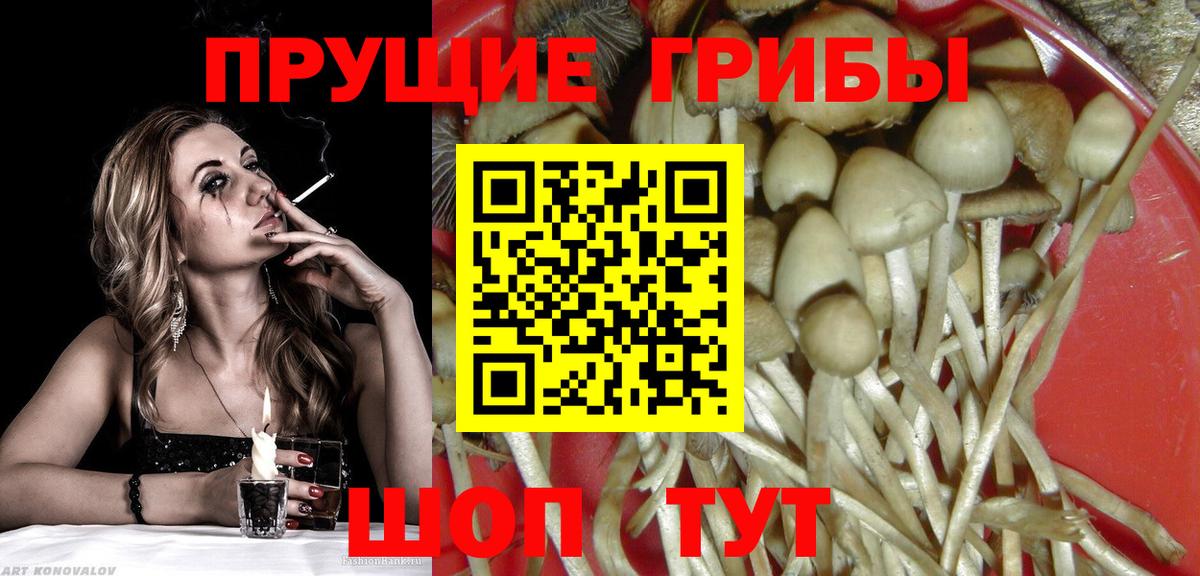 Псилоцибиновые грибы мухоморы Чапаевск