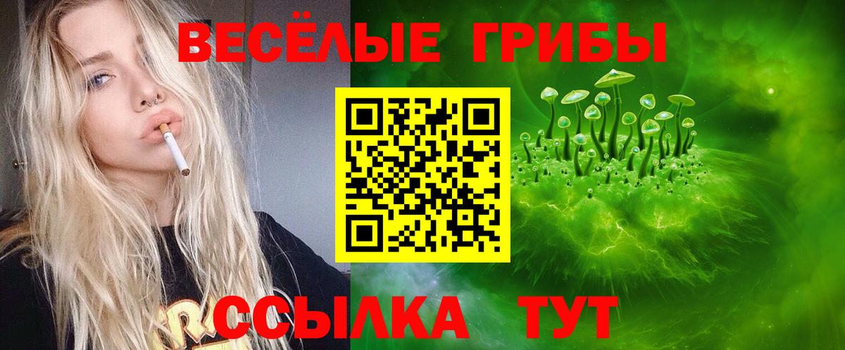Чапаевск  Псилоцибиновые грибы Magic Shrooms  хочу наркоту  Вход с VPN 